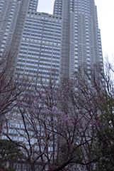 shinjuku100315.jpg