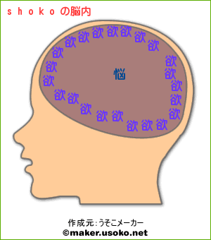 shokoの脳内イメージ