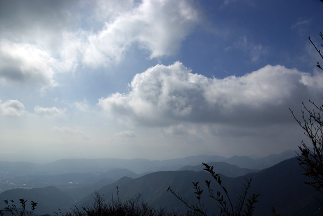 _IGP6859.jpg(62282 byte)