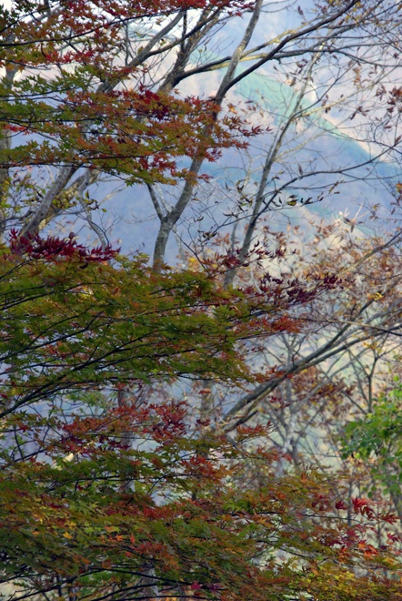 _IGP6941.jpg(241325 byte)